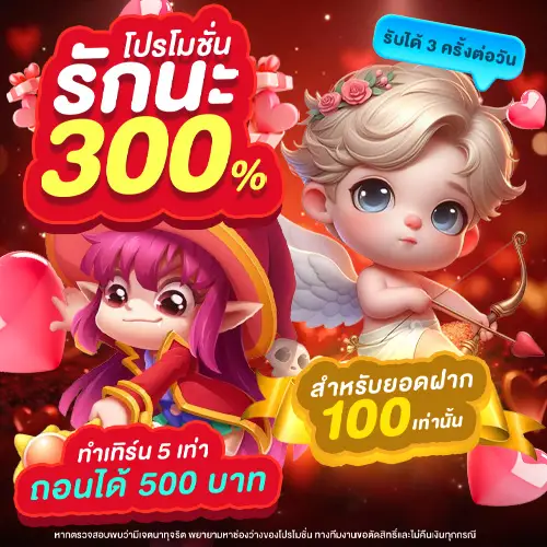 โปรโมชั่นรักนะ300